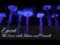 The Seas With Nemo And Friends Epcot Walt Disney World Florida HD