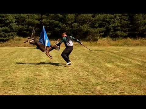 Jaggo Leryka long attack 30.8.2020.