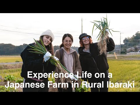 Experience Life on a Japanese Farm in Rural Ibaraki