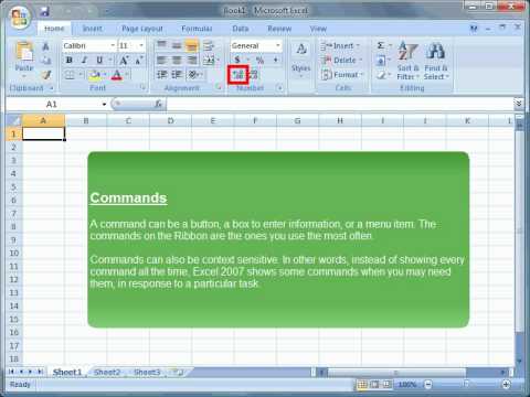 BSBITU304A Section 1: Tour of MS Excel 2007