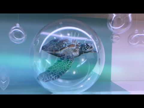 PROMOTION VIDEO FOR EVOLCARE (PACKAGE E)