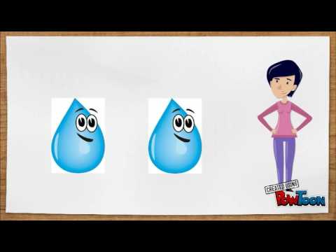 The Water Cycle: Willy Waters Family Adventure