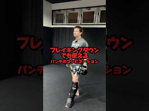 ブレイキングダウンでも使えるパンチのコンビネーション！#獅庵#RIZIN#ライジン#総合格闘技#キックボクシングテクニック#MMAテクニック#breakingdown #ブレイキングダウン