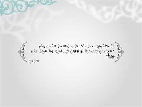 فيديو تعليمي