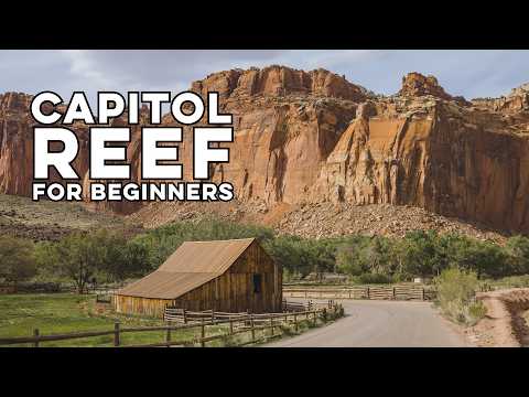 Ein Leitfaden für Anfänger zum Capitol Reef National Park