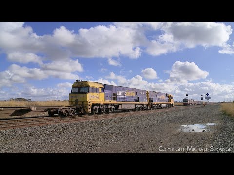 Pacific National 5MP2 Steel Train Crosses SCT 7922V Container Train (13/4/2023) - PoathTV Railways