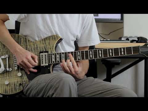 Ween - Transdermal Celebration on guitar