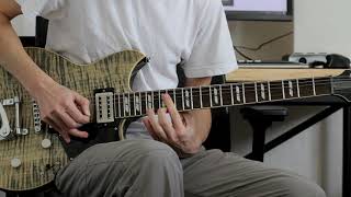 Ween - Transdermal Celebration on guitar