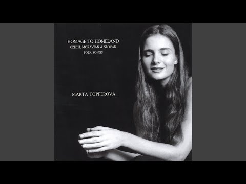 Mela jsem holoubka - I Had A Dove