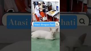 Download lagu face it with a smile. #storyoftheday #automobile #islamictrails #coolentertainment #tilawati354 #... mp3