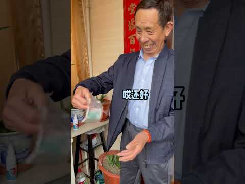 論藏私房錢誰最強！姥爺這思路讓人大開眼界#年輕人小鄒#私房錢  #可愛的姥爺 #神奇腦回洞#shorts