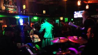 The Boogie Woogie Pinelands no Barbarium