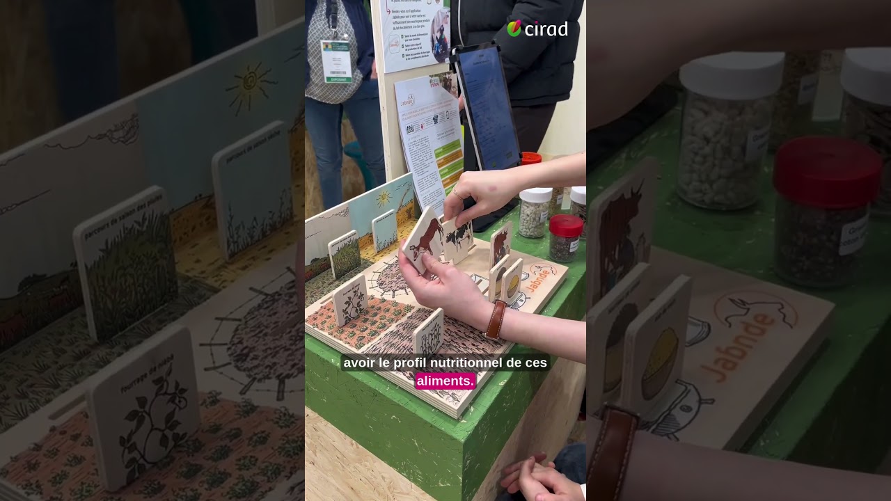 Jaɓnde : l’application pour formuler des rations alimentaires des bovins laitiers en Afrique