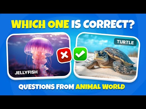 🐾 40 Animal World Quiz Questions | A or B? Can You Guess the Right One? 🧠🔥