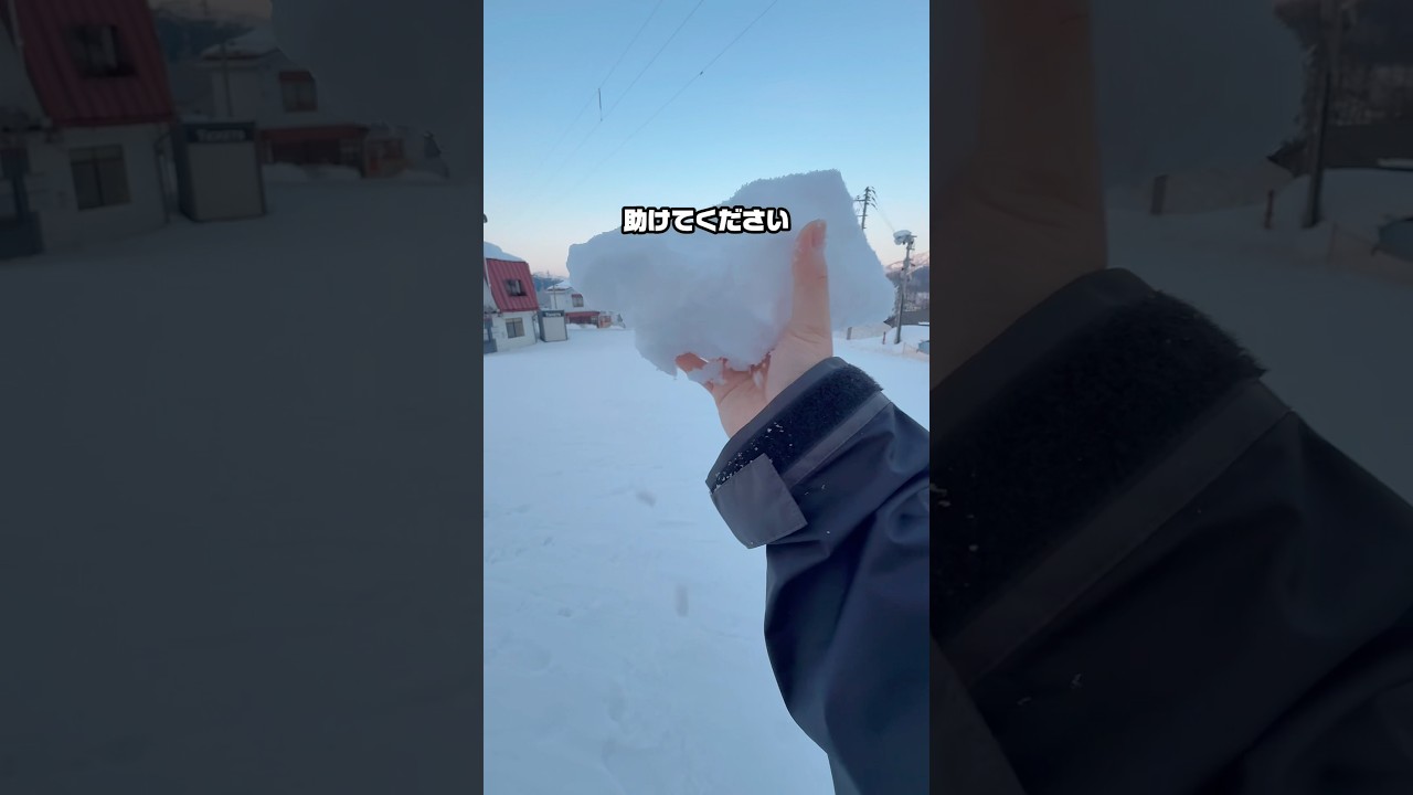 間違えて雪山に来てしまったので、ゲーセンに助けを求めた結果…❄️#クレーンゲーム #ゲームセンター #ゲーセン #ufoキャッチャー #clawmachine #スキー #shorts