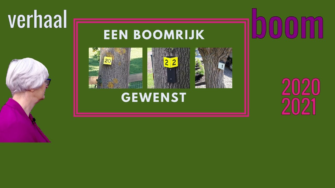 Boom verhaal 2020-2021