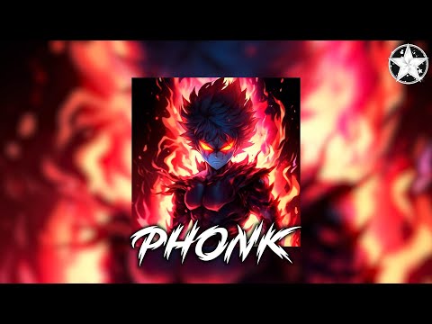 Brazilian Phonk Mix 2024 ※ Best Baile Funk ※ Tik Tok Viral Phonk Music Mix #529