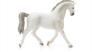 Schleich Holstein cavalla