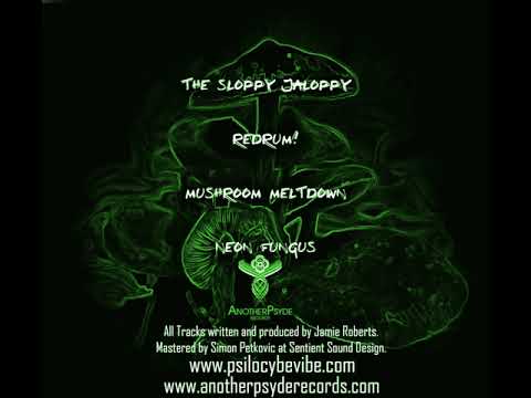 02 Psilocybe Vibe - Redrum!