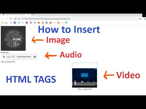 What is Website Web page Type Of Websites in Hindi Beginners