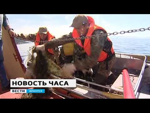 Дайверы очистят дно Байкала возле Листвянки от рыбацких сетей