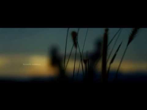 ROMANCE ,Philip +Sonia