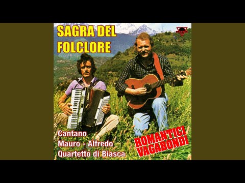 La formica in bicicletta