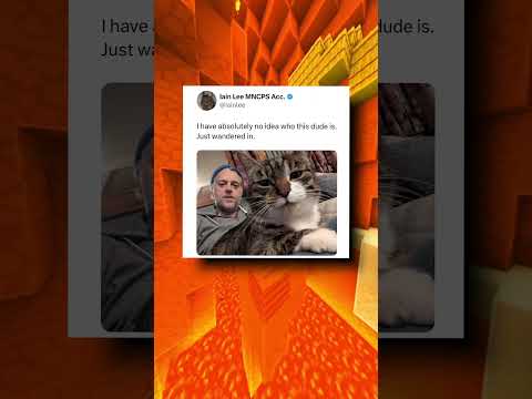 Cat Optical Illusion Posts 👀