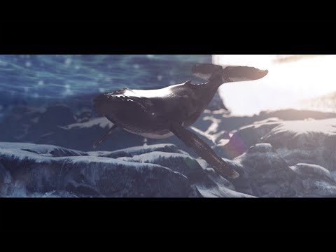Rhian Sheehan - Soma Dreams [Official Music Video]