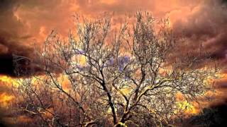 House Of Broken Dreams