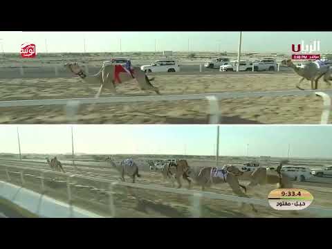 ش 13 (ناصيه) لـ مهير علي راشد الكتبي 12:23:36 , مهرجان الأمير الوالد 2026/2/11 حول زمول الشحانية