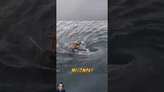 Download lagu This man dared to enter the whirlpool and this is what happened 😱 #shorts mp3