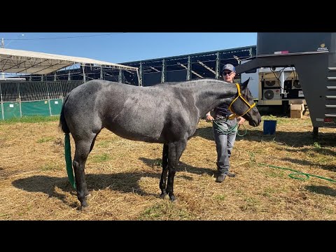 Congresso ABQM 2022 - Parte 1