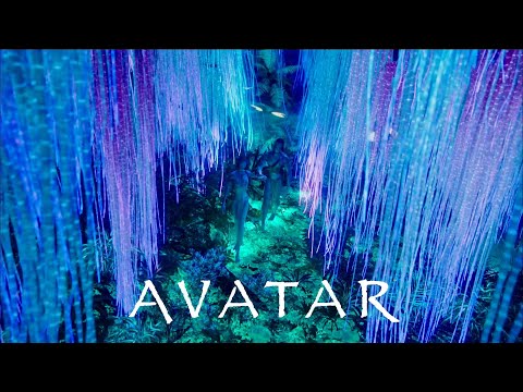 Beauty of AVATAR : The Way Of Water IMAX version【4K】