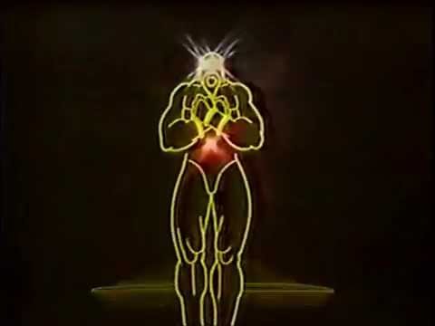 David Vunk - TR - Ago - 909 vidEo