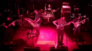 The Contortionist - Primal Directive live