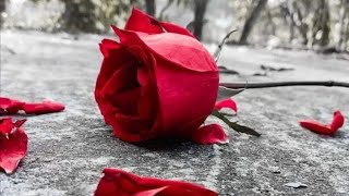 Sin Lado Izquierdo - Marco Antonio Solís