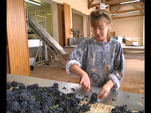 La Route des Vins - Bourgogne