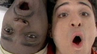 Sly Fox Lets go all the way