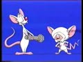RARE Cartoon Network Pinky And The Brain Powerhouse Bumpers