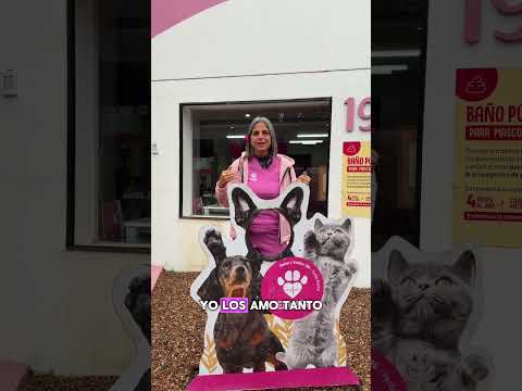 Estaremos en salas y Valdez 195, Yerba buena Tucumán, hasta terminar obra #youtubeshorts #perros