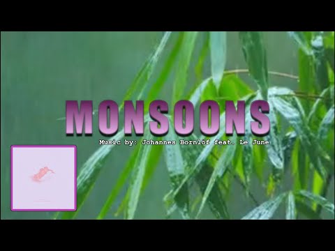 MONSOONS: Johannes Bornlöf ft Le June IWRITE TV #lejune #monsoons #musicvideo #chillvibes #rainfall