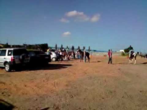 Apresentação da Cavalaria.3gp