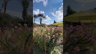 NakonNayok2026 #dailyvlog #travel #thailand #nature #fujiikaze #garden #music #タイ #藤井風 #vlogshorts