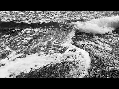 Hannes Wittmer - Was hätten wir denn tun sollen (Marcus Wiebusch Cover)