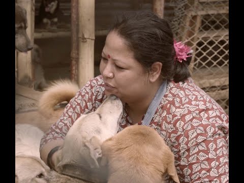 A Mother to 250 Street Dogs 'Srijana Thakuri'