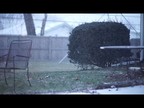 Chicago Area Winter Snow Storm Ivy, Tuesday December 29th 2020