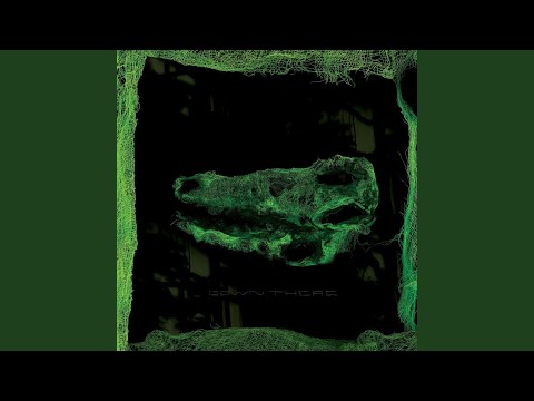 Oliver Twist - Avey Tare
