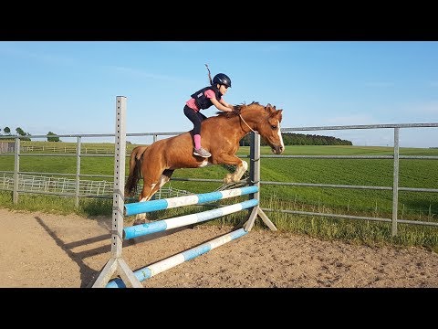 Malu (9) und Senna - Fotoserie Springen mit Halsring am 03.05.2018