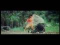South Shaolin Versus North Shaolin